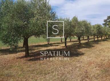 Zemljiste, Marčana, prodaja, 270000 €, 13253 m2