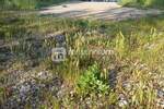 Zemljiste, Viškovo, prodaja, 280000 €, 2034 m2
