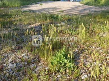 Zemljiste, Viškovo, prodaja, 280000 €, 2034 m2