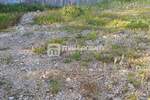 Zemljiste, Viškovo, prodaja, 280000 €, 2034 m2