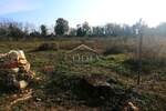 Zemljiste, Kaštelir-Labinci, Labinci, prodaja, 263000 €, 4218 m2