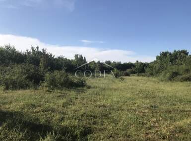 Zemljiste, Barban, Manjadvorci, prodaja, 66000 €, 970 m2