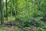 Zemljiste, Tinjan, Kringa, prodaja, 103000 €, 28282 m2