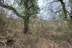 Zemljiste, Tinjan, Kringa, prodaja, 103000 €, 28282 m2
