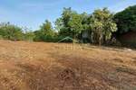 Kuca, Poreč, prodaja, 390000 €, 290 m2