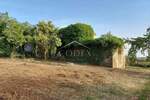 Kuca, Poreč, prodaja, 390000 €, 290 m2