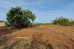 Kuca, Poreč, prodaja, 390000 €, 290 m2