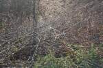 Zemljiste, Kanfanar, Mrgani, prodaja, 675000 €, 22230 m2