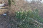 Zemljiste, Kanfanar, Mrgani, prodaja, 675000 €, 22230 m2
