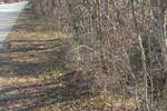 Zemljiste, Kanfanar, Mrgani, prodaja, 675000 €, 22230 m2