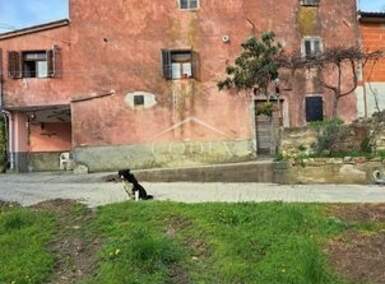Kuca, Buzet, Duričići, prodaja, 400000 €, 450 m2