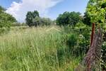 Zemljiste, Poreč, prodaja, 145000 €, 851 m2