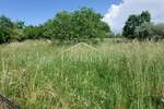 Zemljiste, Poreč, prodaja, 145000 €, 851 m2