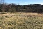 Zemljiste, Pazin, Trviž, prodaja, 280000 €, 19950 m2