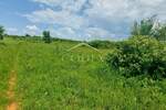 Zemljiste, Umag, prodaja, 775000 €, 3000 m2