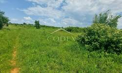 Zemljiste, Umag, prodaja, 775000 €, 3000 m2