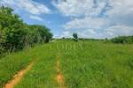 Zemljiste, Umag, prodaja, 775000 €, 3000 m2