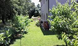 Kuca, Umag, prodaja, 600000 €, 320 m2