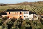 Zemljiste, Buje, prodaja, 1240000 €, 57869 m2