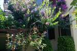 Kuca, Medulin, prodaja, 566500 €, 350 m2