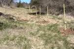 Zemljiste, Matulji, Pasjak, prodaja, 48000 €, 65426 m2
