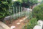 Kuca, Mali Lošinj, prodaja, 595000 €, 200 m2