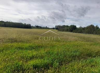 Zemljiste, Vižinada, prodaja, 213000 €, 35500 m2