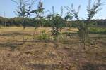Zemljiste, Rovinj, prodaja, 125000 €, 3565 m2