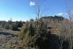 Zemljiste, Žminj, prodaja, 300000 €, 46000 m2