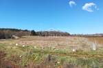 Zemljiste, Poreč, Mugeba, prodaja, 59000 €, 4052 m2