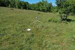 Zemljiste, Poreč, prodaja, 326000 €, 62710 m2