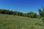 Zemljiste, Poreč, prodaja, 326000 €, 62710 m2