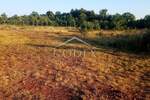 Zemljiste, Svetvinčenat, prodaja, 480000 €, 27000 m2