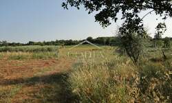 Zemljiste, Poreč, Žbandaj, prodaja, 258000 €, 11530 m2