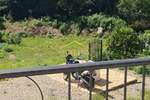 Dvosoban stan, Kraljevica, prodaja, 102000 €, 56 m2
