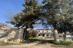 Kuca, Buje, Plovanija, prodaja, 330000 €, 200 m2