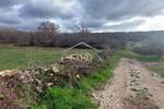 Zemljiste, Buje, Plovanija, prodaja, 94000 €, 760 m2