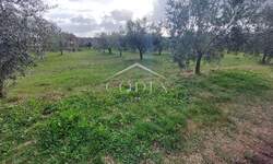 Zemljiste, Buje, Plovanija, prodaja, 270000 €, 2603 m2