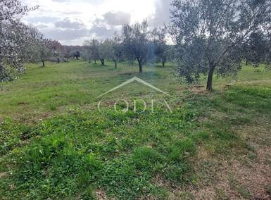 Zemljiste, Buje, Plovanija, prodaja, 270000 €, 2603 m2