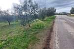 Zemljiste, Buje, Plovanija, prodaja, 270000 €, 2603 m2