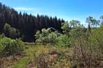 Zemljiste, Slunj, Donje Primišlje, prodaja, 60000 €, 86269 m2