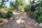 Zemljiste, Opatija, Ičići, prodaja, 208000 €, 771 m2