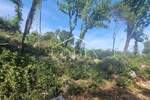 Zemljiste, Opatija, Ičići, prodaja, 208000 €, 771 m2