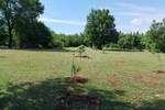 Zemljiste, Rovinj, prodaja, 125000 €, 4217 m2