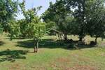Zemljiste, Rovinj, prodaja, 125000 €, 4217 m2