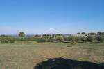 Kuca, Marčana, prodaja, 513500 €, 186 m2