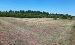 Zemljiste, Vižinada, Markovići, prodaja, 169000 €, 10858 m2