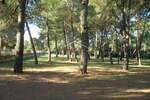Zemljiste, Rovinj, prodaja, 2171000 €, 12058 m2