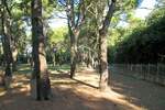 Zemljiste, Rovinj, prodaja, 2171000 €, 12058 m2
