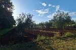 Zemljiste, Brtonigla, prodaja, 64000 €, 5077 m2